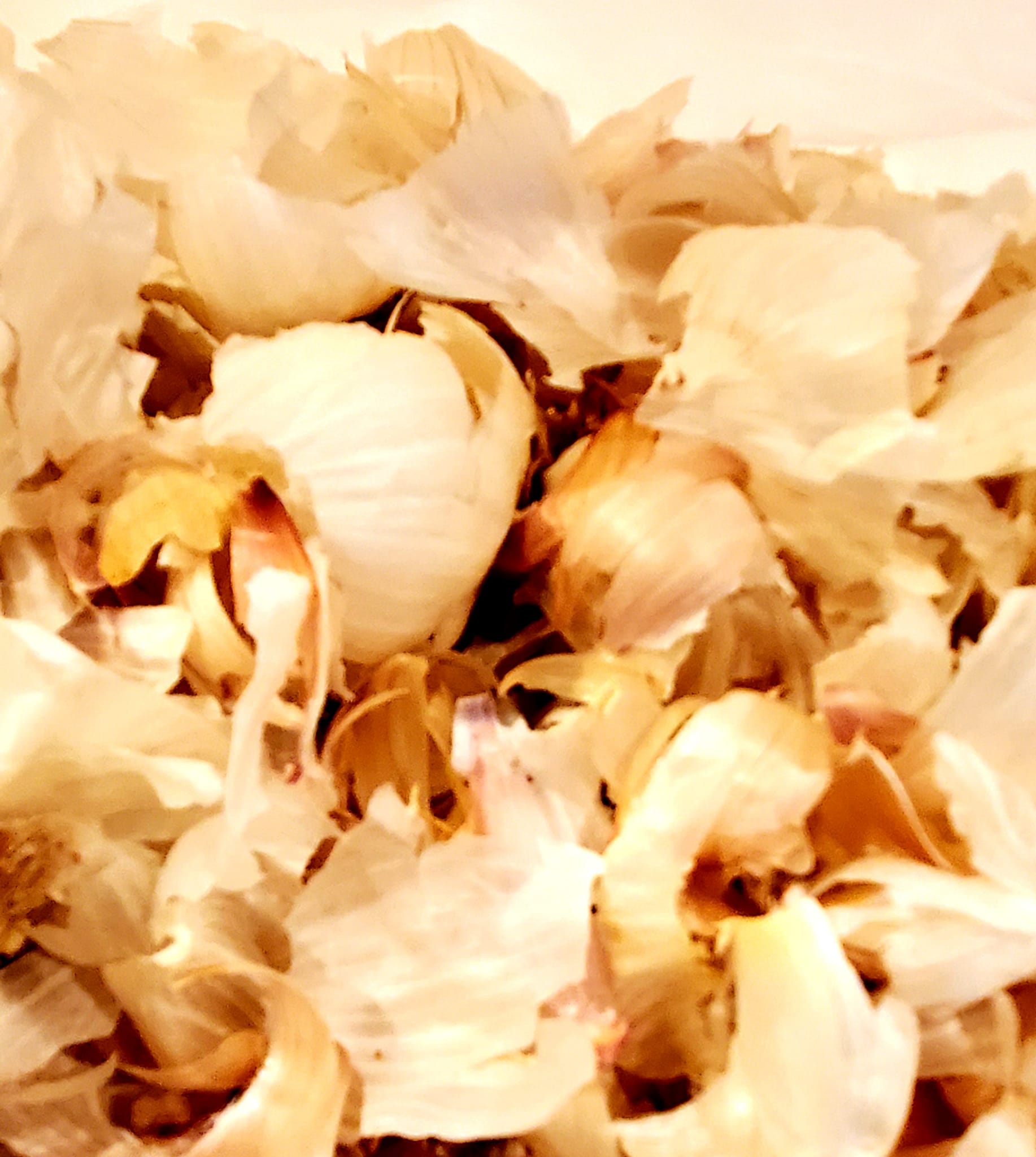 Garlic Peels Organic